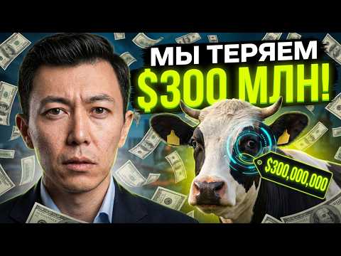 Как потерять $300 000 000 на коровах?